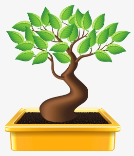 Transparent Bonsai Tree Clipart - Bonsai Emoji, HD Png Download, Free Download