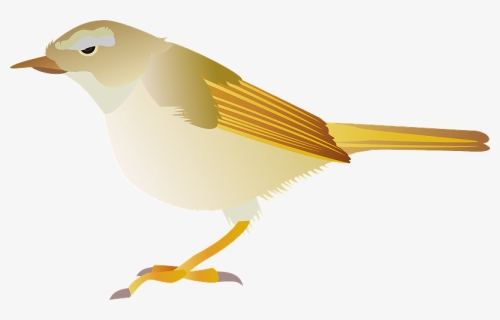 Japanese Bush Warbler Bird Clipart - Canary, HD Png Download, Free Download