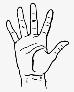 Drawing Of Hand For Kids, HD Png Download, Free Download