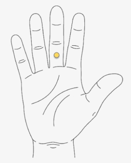 Take Your Hand And Open It, Palm Facing Up - Drawing, HD Png Download, Free Download