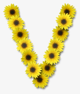 Sunflower Alphabet Png - V With A Sunflower, Transparent Png, Free Download