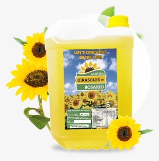 Home Girasoles Rosario - Sunflower, HD Png Download, Free Download