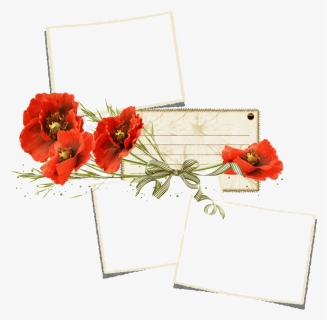 Poppy Flower Frame Png Transparent - Мак Картинка Без Фона, Png Download, Free Download