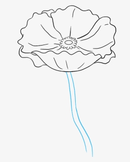How To Draw A Poppy - Sketch, HD Png Download, Free Download