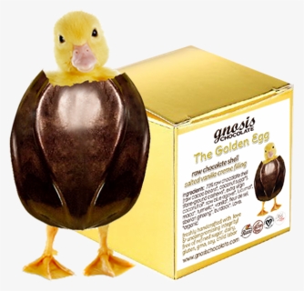 Golden Egg Box New, HD Png Download, Free Download