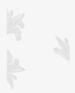 Leafy-background, HD Png Download, Free Download