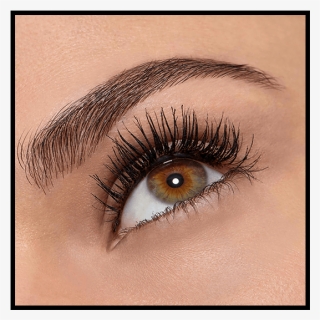 Perfect Eyebrows And Lashes With Closed Eyes Png Images - Perfect Eyebrows, Transparent Png, Free Download