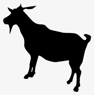 Boer Goat Dorper Cattle - Goat Side Profile Clip Art, HD Png Download, Free Download