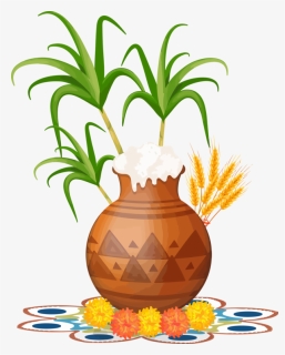 Transparent Pongal Ananas Plant Pineapple For Thai - Good Morning Happy Pongal, HD Png Download, Free Download