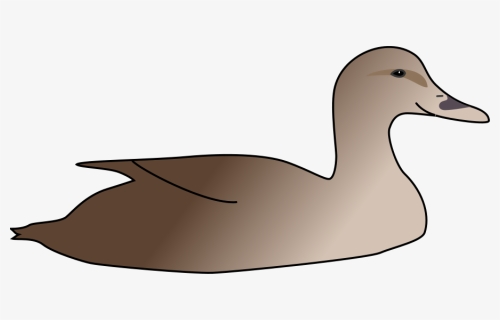 Duck Clipart Png For Web , Png Download - Duck, Transparent Png, Free Download