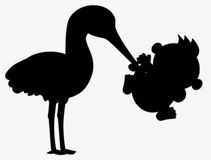 Duck Clipart , Png Download - Ciconia, Transparent Png, Free Download