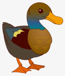 Duck Clipart - Seaduck, HD Png Download, Free Download