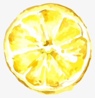 Lemon Transparent Png Image & Lemon Clipart - Lemon Drawing Transparent Background, Png Download, Free Download