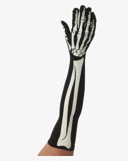 Halloween Long Skeleton Gloves, HD Png Download, Free Download