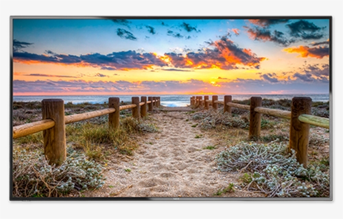 Nec E556, HD Png Download, Free Download