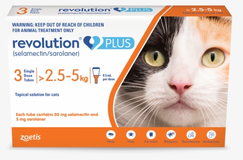 Revolution Plus For Cats, HD Png Download, Free Download