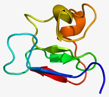 Protein Pml Pdb 1bor - Structure Promyelocytic Leukemia Protein, HD Png Download, Free Download