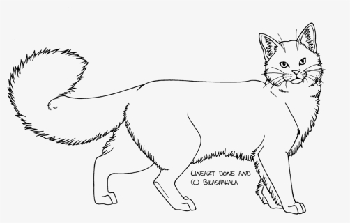 Domestic Long Haired Cat Png - Long Haired Cat Drawing, Transparent Png, Free Download