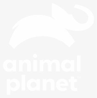 The Incredible Bearded Dragons - Animal Planet Logo White, HD Png Download, Free Download