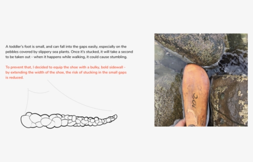 Water Shoe-18, HD Png Download, Free Download