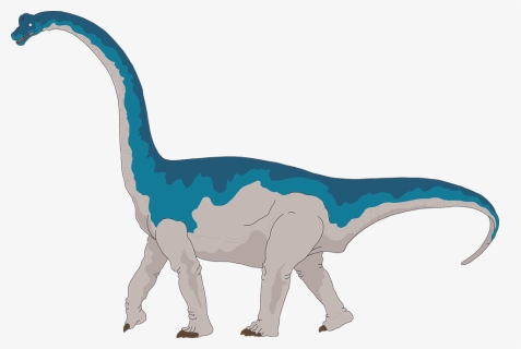 Collection Of Dinosaur Tail Cliparts - Brachiosaurus Clipart, HD Png Download, Free Download