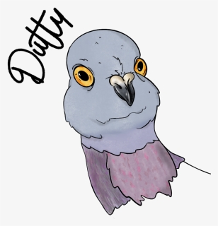 Parakeet Clipart , Png Download - Illustration, Transparent Png, Free Download