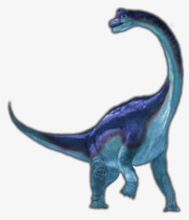 Long Neck Dinosaur Transparent Background, HD Png Download, Free Download