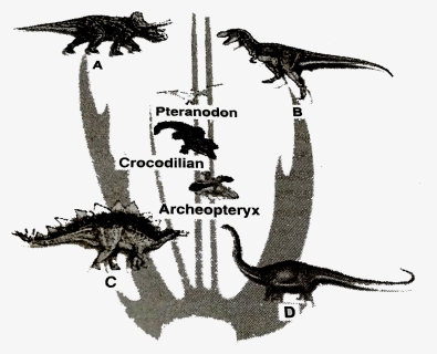 Significance Of Family Tree Of Dinosaurs In Ncert, HD Png Download, Free Download