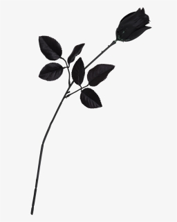 Single Rose Black And White, HD Png Download, Free Download
