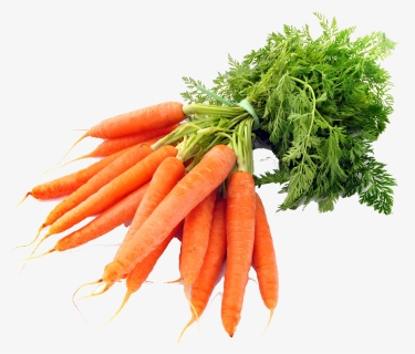 Carrot Png Photo Background - Carrots Png, Transparent Png, Free Download