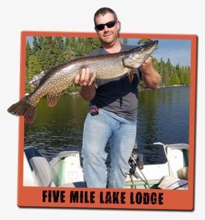 Northern Pike - Pull Fish Out Of Water, HD Png Download, Free Download
