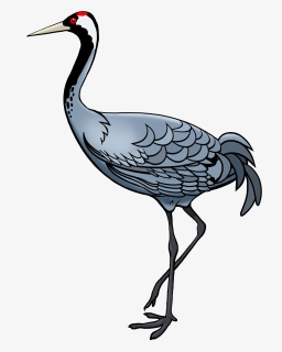 Bird - Crane, HD Png Download, Free Download