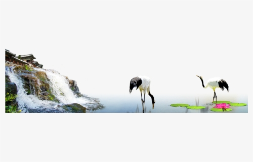 Transparent Water Dam Clipart - Red-crowned Crane, HD Png Download, Free Download