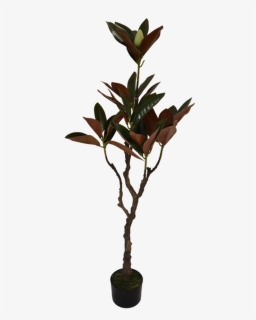 Magnolia Tree - Artificial Plant - Twig, HD Png Download, Free Download