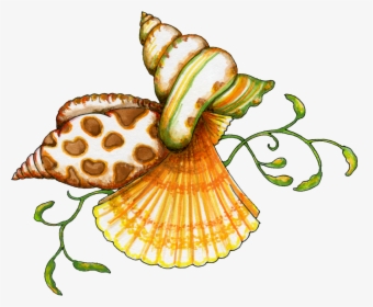 Seashell Border Png Free - Sea Shells Clip Art, Transparent Png, Free Download