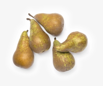 Fig, HD Png Download, Free Download