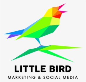 Little Bird Affordable Websites For Small Businesses - Logo Designs On Websites, HD Png Download, Free Download