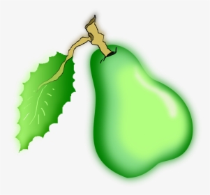 Pera, Frutas, Verde, De La Hoja - Imagenes De Pera Verde, HD Png Download, Free Download