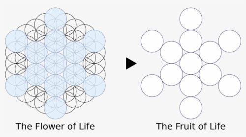 Flower Of Life 13, HD Png Download, Free Download
