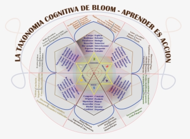 La Rosa De Bloom - Taxonomy Of Knowledge, HD Png Download, Free Download