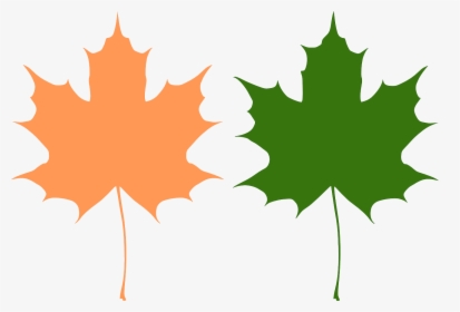 Clip Art Maple Leaf Vector - Maple Leaves Vector, HD Png Download, Free Download