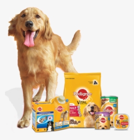 About Pedigree, Ares The Golden Retriever - Golden Retriever Pedigree Food, HD Png Download, Free Download