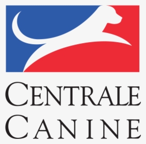 Société Centrale Canine, HD Png Download, Free Download