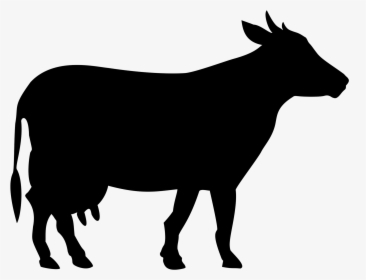13 Vector Cow Icon Images - Cow Png Black And White, Transparent Png, Free Download
