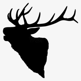 Graphic Library Library Bull Elk Clipart - Vector Elk Head Silhouette, HD Png Download, Free Download