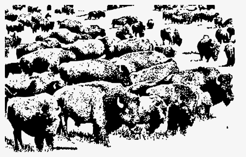 Sheep,bull,silhouette - Buffalo Herd Black And White, HD Png Download, Free Download