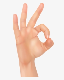 Hd Okay Hand Png Clip Art Image - Transparent Ok Hand Png, Png Download, Free Download