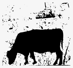 Transparent Cattle Clipart Black And White - Illustration, HD Png Download, Free Download