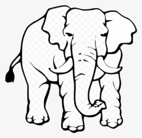 Elephant Black And White Cute Clipart Drawing In Transparent - Elephant Coloring Page, HD Png Download, Free Download