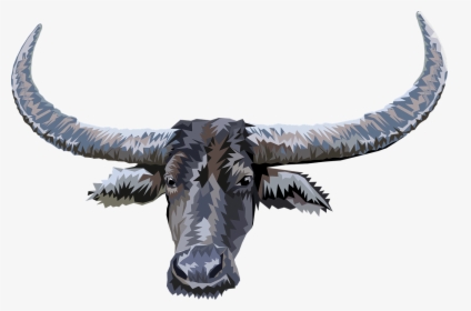 Animal Head Buffalo Nature Marajoara - Bufalo Do Marajó Png, Transparent Png, Free Download